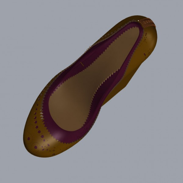 Biocouture Shoe render Biocouture Shoe render