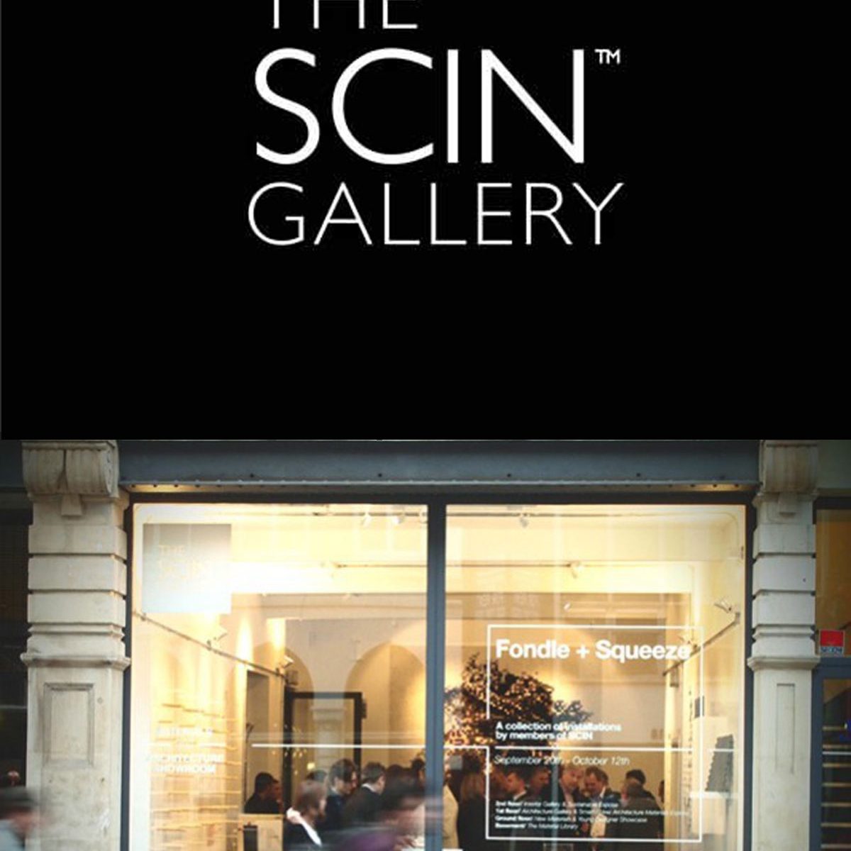 THE SCIN GALLERY