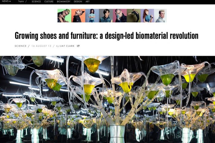 Growing Shoes and Furniture: a design-led bio-material revolution wired.co.uk liz ciokajlo