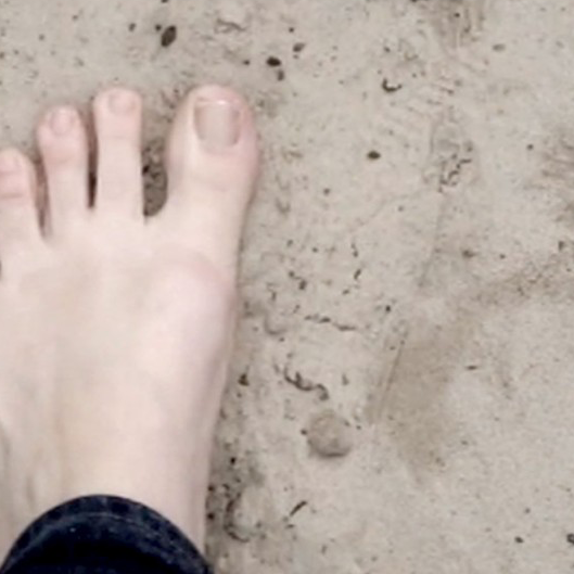 Natural Selection Video