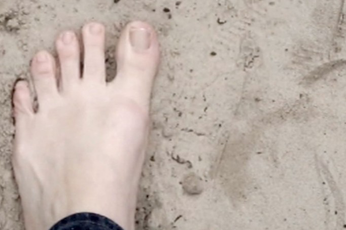 Natural Selection Video