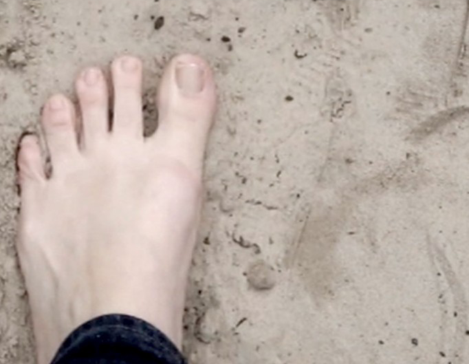 Natural Selection Video