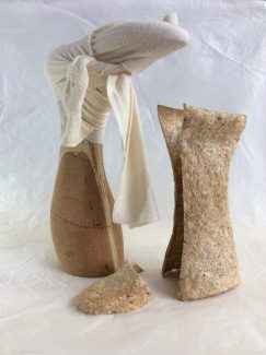 MarsBoot cotton and mycelium development