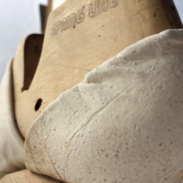 Beauty of the early mycelium texture Beauty of the early mycelium texture