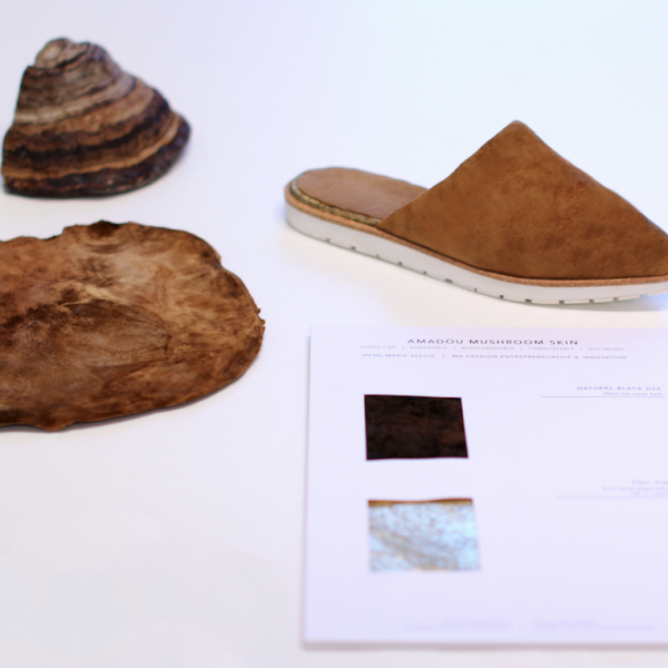 Mushroom skin, conk, shoes, dyed and foiled samples Irene Marie Seelig