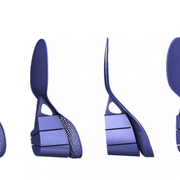 Bloom inner skeleton for structure