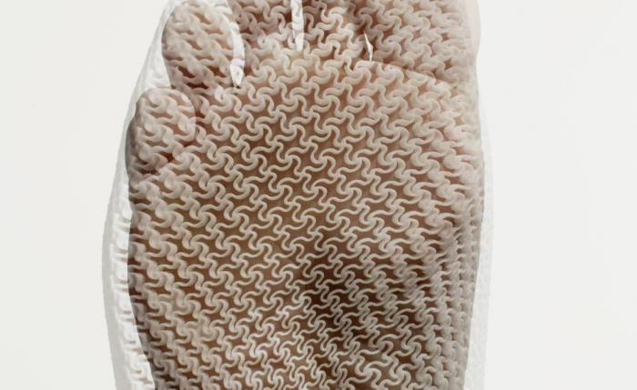 skin and skin structure 3D printed sock
